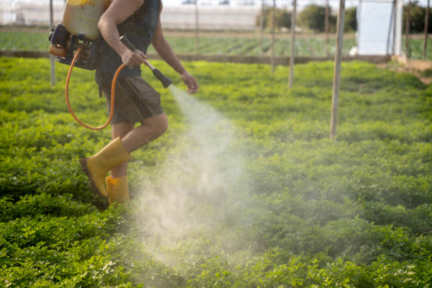 Pest Control for Restaurants in Weatherby Lake, MO