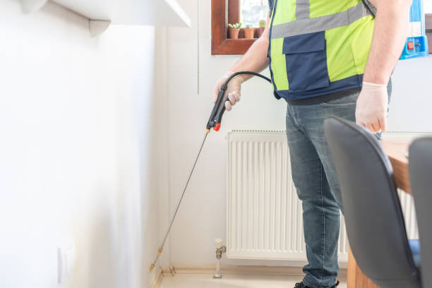 Best Ant Control Services  in Weatherby Lake, MO