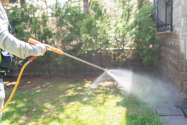 Best Wasp Removal Services  in Weatherby Lake, MO