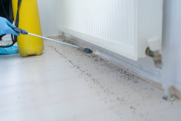 Best Best Pest Control Companies  in Weatherby Lake, MO